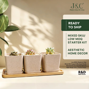 Ensemble de pots à herbes avec plateau en bambou, lot de 3 pots d'intérieur pour <span class=keywords><strong>basilic</strong></span>, menthe, origan, jardin d'herbes aromatiques pour fenêtre de cuisine - Product Image 1