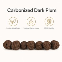 Prunes noires carbonisées en gros (Fructus Mume) pour soupes, ragoûts et cuisson – Approvisionnement en vrac
