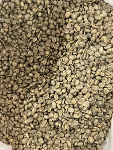 2025 New Crop Vietnam <b>Robusta</b> Green <b>Coffee</b> <b>Beans</b> - Product Image 3