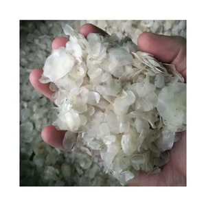 POUDRE DE COLLAGÈNE D'ÉCADES DE POISSON DE QUALITÉ SUPÉRIEURE 100% PRODUIT MARIN NATUREL DU VIETNAM - Product Image 6