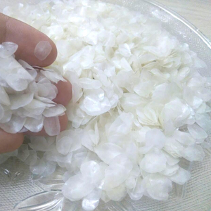 ซัพพลายเออร์-เกล็ดปลาแห้ง100% เกล็ดปลานิล/คุณภาพสูงและราคาไม่แพงมาตรฐานการส่งออกจาก2023เวียดนาม - Product Image 2