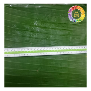 Produit le plus vendu Feuilles de bananier congelées, Feuille de bananier vert congelée pour la conservation des aliments, idéale pour emballer les aliments et les plats - Product Image 3