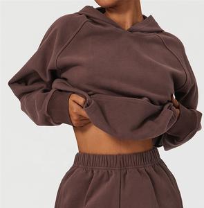 Fabricants de sweats à capuche en coton pour femmes pulls à capuche grande taille pulls à capuche lourds pour femmes vêtements de rue unis sweats à capuche à la mode - Product Image 4