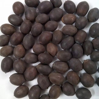 Premium Vietnamese gedroogde lotuszaden, 12 maanden houdbaarheid, merk Toan Tai Loc Phat, groothandel export bulk levering, consistente kwaliteit