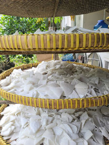 Commande en gros Viande de noix de coco séchée à mâcher d'origine vietnamienne, collation prête à manger, goût naturel, parfaite pour la vente au détail et les rayons des supermarchés - Product Image 2