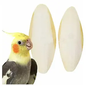 Seppia osso di seppia per animali domestici uccelli pappagallini rettili cibo tartaruga // Ms. Shyn 84382089109