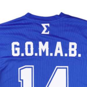 Camiseta de fútbol PBS-Azul real | Camiseta de poliéster 100% Phi Beta Sigma con estampado del logotipo del equipo en la manga, delantera y trasera - Product Image 6