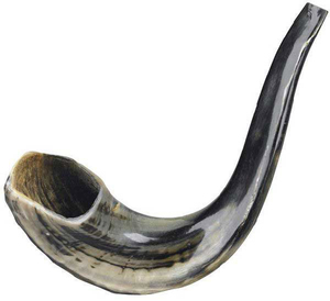 Shofar portátil para manualidades naturales de alta demanda, cuerno de carnero pulido, fácil de llevar para eventos, tamaño personalizado de La India - Product Image 4