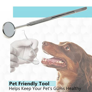 Instrumentos quirúrgicos dentales manuales de acero inoxidable de alta calidad, fuente de alimentación, acabado, pulido, limpieza de dientes, instrumento de inspección - Product Image 2