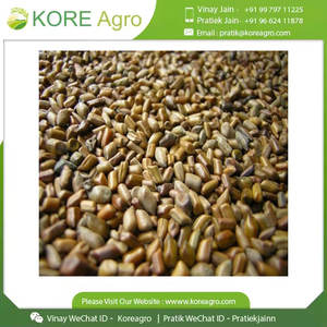 Fabricant Fournisseur International Wild Cassia Tora 100% Natural Pure & Clean Graines biologiques de qualité optimale avec quantité minimale de commande acceptées - Product Image 5