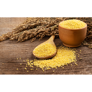 Mijo de escobilla amarillo tostado de alta pureza - Product Image 2