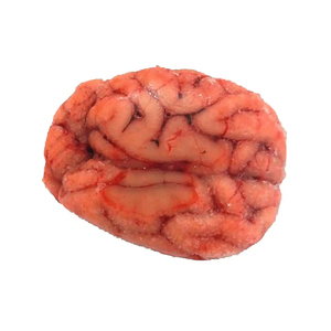 Cerveaux de porc congelés et emballés pour la consommation humaine dans des matériaux de qualité alimentaire - Product Image 6