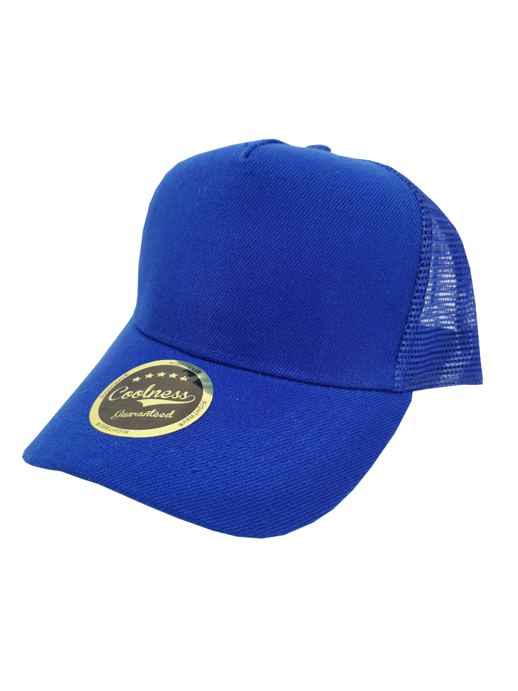 สีรอยัลบลู