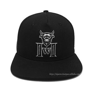 Highland Western personnalisé 2D broderie Logo Denim toile mode Snapback chapeaux haut profil plat bord camionneur maille en gros - Product Image 2