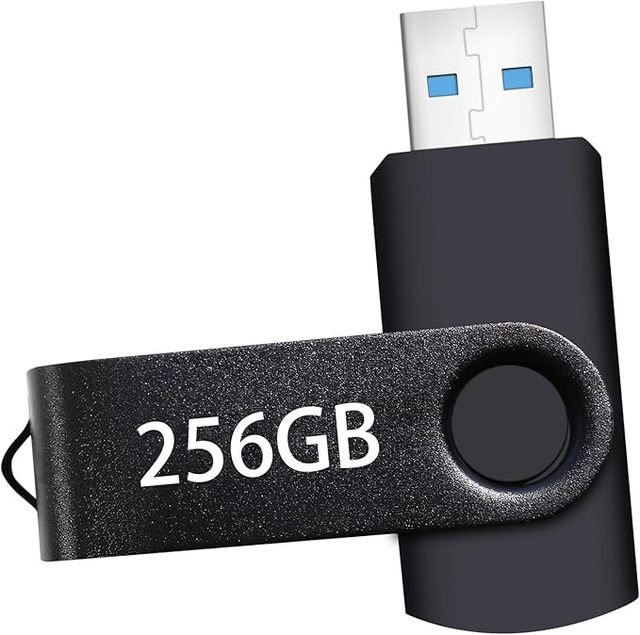 New USB Flash Drive 256GB Metal Portable Thumb Drive High-Speed USB 2.0 Keychain with 1-Year Warranty for PC/Laptop