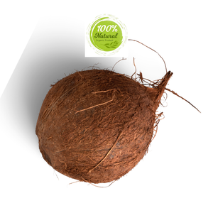 Producto agrícola Premium Usos innovadores del coco seco en las artes culinarias - Product Image 1