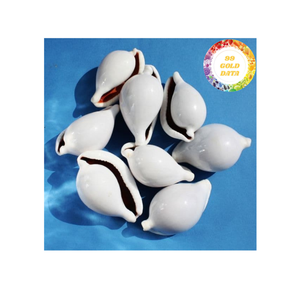 Concha de huevo de vaca blanca, diseño único de concha de mar para decoración del hogar, producción artesanal y accesorios, Vietnam - Product Image 1