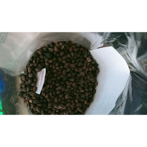 SEMILLAS DE PAPAYA SECAS AUTÉNTICAS Y EXÓTICAS/RECETA FAMILIAR/VALOR ASEQUIBLE/HECHO EN VIETNAM - Product Image 1