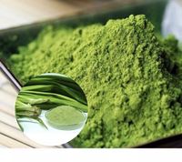Poudre de feuille de pandan, saveur verte naturelle, haute qualité, prix bas, approvisionnement en vrac en provenance du Vietnam