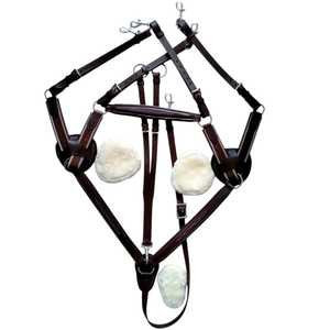 Équipement équestre ADIBA OVERSEAS, peignoir en cuir de haute qualité teint au tambour, surpiqûres fantaisie, rembourrage en peau de mouton, 5 points - Product Image 1