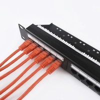 Panneau de brassage IDEX Cat5e UTP 1U 24 ports avec gestion des câbles