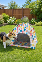 Tente portable d'extérieur pour chiens et chats, imperméable et respirante, maison d'été pour animaux de compagnie