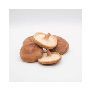 Champignons séchés, champignons shiitake déshydratés à vendre - Product Image 6