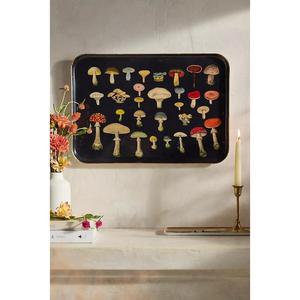 Unique <b>Tray</b> for Cookie Platter Latest Design Metal <b>Trays</b> Birthday Parties Decorative High <b>Enamel</b> <b>Tray</b> for Decoration Usage - Product Image 5