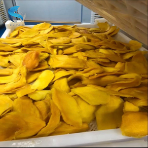 TOP SELLING <b>Sweet</b> Taste Soft Dried Mango High <b>Quality</b> Vietnam Mango 100% - Product Image 5