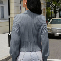 Pull en coton chaud et décontracté pour femme, col rond anti-boulochage, manches tricotées plates, confort quotidien
