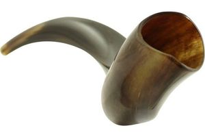 Shofar Auténtico de Cuerno de Búfalo Metálico, Ecológico, Duradero, Elaborado con Cuidado para la Cocina, el Culto, Reuniones Espirituales y Festivales - Product Image 2