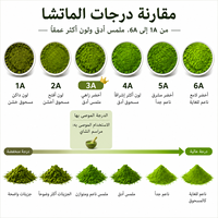 Poudre de Matcha Verdecha Halal 3A Premium Récolte Printanière 1000 Mesh pour Boissons Quotidiennes, Café Latte et Thé au Lait