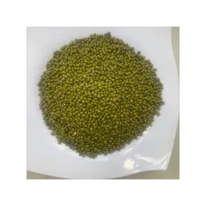 緑豆ミディアムグレインブナ豆北東輸出緑豆卸売プレミアム品質グリーンヘッドカラーダブルオリジングア