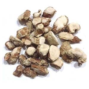 เคมเฟอเรียกาลังกามาสดสด/แห้งสินค้าขายดีจากเวียดนาม - Product Image 2