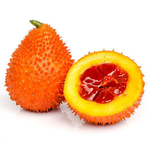 Pulpa de Fruta Gac Congelada de Vietnam, Color Natural, Alto Contenido de Betacaroteno, Exportación a Granel - Product Image 6