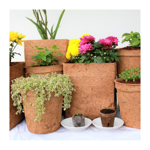 Pots en fibre de coco biodégradables durables-Pots de plantation 100% naturels pour fleurs et légumes - Product Image 3