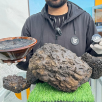 Résine de Shilajit de l'Himalaya certifiée et testée en laboratoire, supplément liquide oral, améliore l'énergie, qualité alimentaire pour adultes, PakShilajit