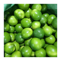 Export Standaard Verse Limoen/Citroenzaad/Vietnam Citrus 100% Natuurlijk Met Premium Kwaliteit En Zure Smaak