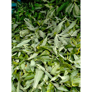 Feuilles de manioc en purée congelées de haute qualité lavées et blanchies disponibles en emballages sous vide pour l'exportation en gros - Product Image 6