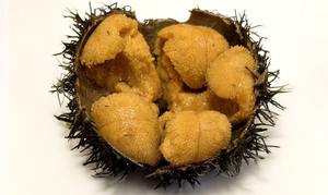High Quality Healthy Fruity Flavor Semi-Soft Texture Frozen Japanese Sea Urchin (Murasaki Purple Urchin) 0.3kg Box <b>Snacks</b> 14 - Product Image 2