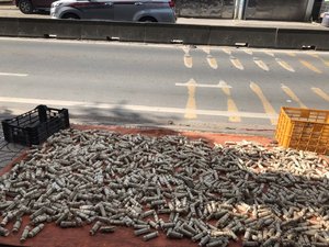 BAGASSES DE CANNE À SUCRE PRODUIT VIETNAMIEN DE HAUTE QUALITÉ/Prix bon marché et distribution exclusive 100% - Product Image 5