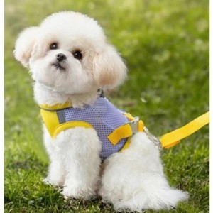 Ensemble laisse et harnais pour chien en polyester/nylon, réfléchissant, réglable, durable, avec lumières, motif animal, style classique et doux, fabriqué au Vietnam - Product Image 6