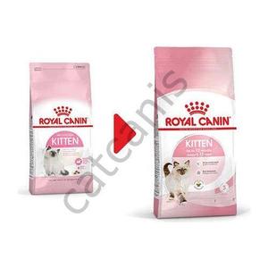 Royal Canin Fhn gattino 36 gattino cibo 4 Kg