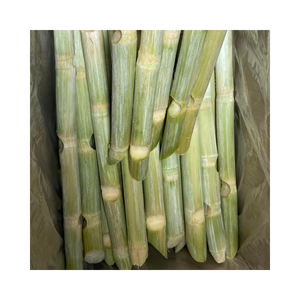 Palo de caña de azúcar congelado de alta calidad sabor dulce natural para jugo y bebidas exportación al por mayor - Product Image 1