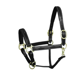 Fantaisie Tressé Rembourré En Cuir Halter cheval licou lemieux cheval licou cuir muserolle pliable Portable - Product Image 6
