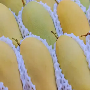 Высокое качество, оптовая продажа, 100% натуральный вкусный вкус египетских свежих фруктов манго по конкурентоспособной рыночной цене