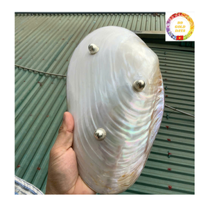 จานขัดธรรมชาติสำหรับคาเวียร์เสิร์ฟในโรงแรมหอยมุกหอยนางรมทำด้วยมือสุดหรู - Product Image 4