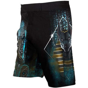 Shorts de MMA en polyester imprimés par sublimation, légers, respirants, avec ceinture élastique, équipement d'entraînement pour le sparring - Product Image 1