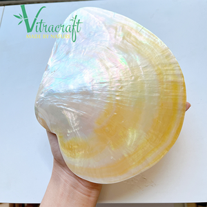 Super Grande Assiette de Caviar en Nacre Assiette de Caviar Faite à la Main Parfait pour servir du Caviar Premium Taille 15-17cm - Product Image 1