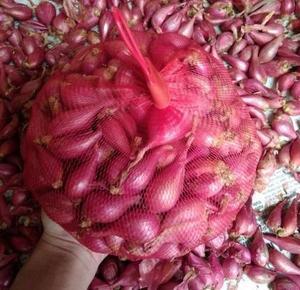 Onion PP Woven <b>Net</b> Bags Customizable Mesh Drawstring Silk Screen Printed T&H International for Fruits and Vegetables Heavy Duty - Product Image 1